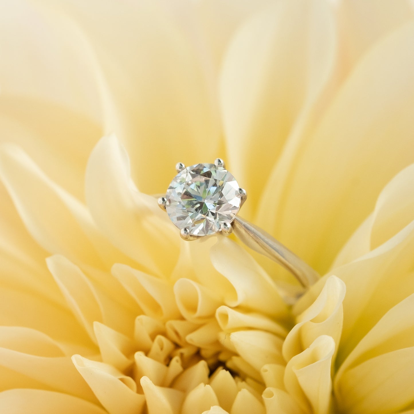 Sterling Silver Round Solitaire Ring