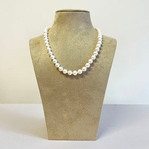 Akoya Pearl Necklace on a stand