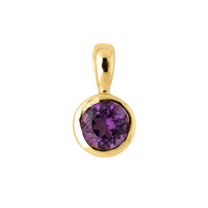 Gold and amethyst birthstone charm pendant